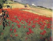 William blair bruce Landscape with Poppies (nn02) Germany oil painting artist